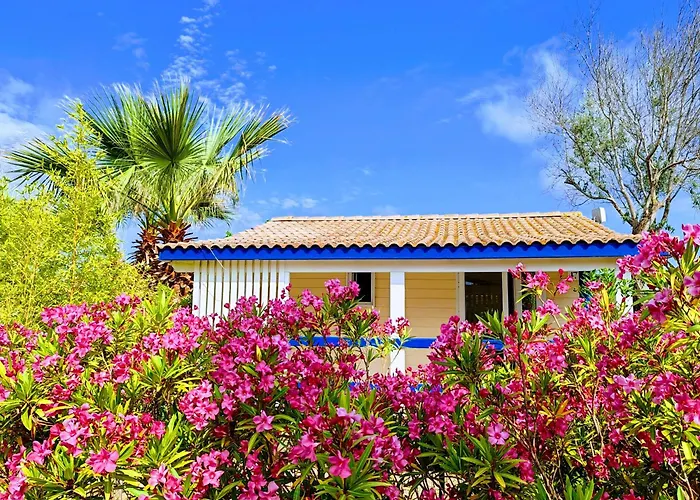Κάμπινγκ Hameau Des Cannisses 3*