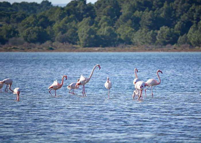 Hameau Des Cannisses Κάμπινγκ 3*